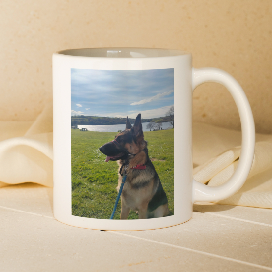 Personalisable Mug | Any Text & / or Image